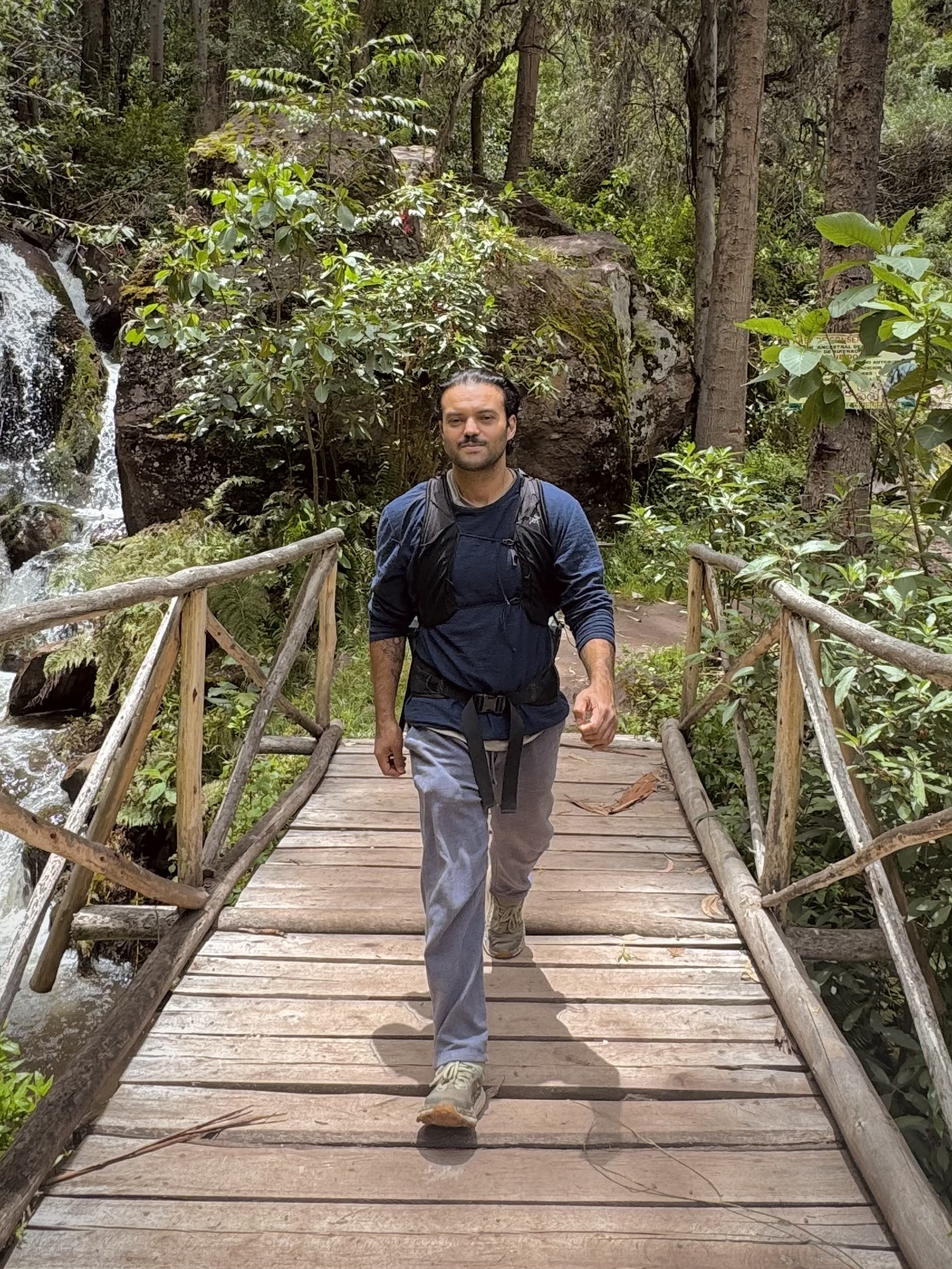 Rodney walking on a wooden bridge in nature